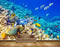 Avikalp MWZ2106 Sea Fishes Stones Underwater Ocean HD Wallpaper