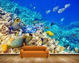 Avikalp MWZ2106 Sea Fishes Stones Underwater Ocean HD Wallpaper