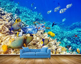 Avikalp MWZ2106 Sea Fishes Stones Underwater Ocean HD Wallpaper