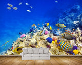 Avikalp MWZ2109 Sea Fishes Stones Underwater Ocean HD Wallpaper