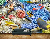 Avikalp MWZ2111 Sea Fishes Anemones Starfish Underwater Ocean Water HD Wallpaper
