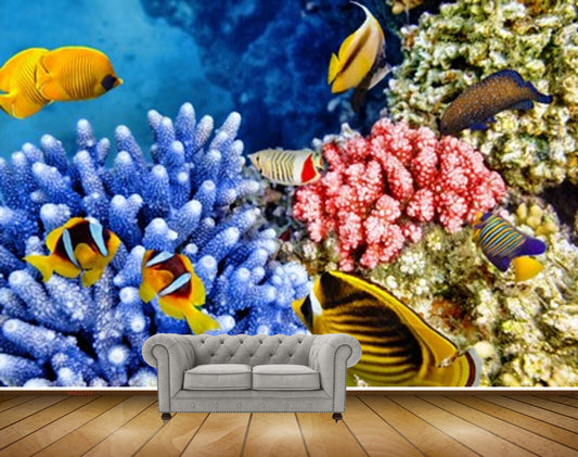 Avikalp MWZ2113 Sea Fishes Anemones Underwater Ocean HD Wallpaper