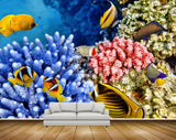 Avikalp MWZ2113 Sea Fishes Anemones Underwater Ocean HD Wallpaper