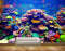 Avikalp MWZ2119 Sea Fishes Anemones Underwater Ocean HD Wallpaper