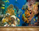 Avikalp MWZ2120 Sea Fishes Anemones Shells Underwater Ocean HD Wallpaper