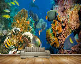 Avikalp MWZ2120 Sea Fishes Anemones Shells Underwater Ocean HD Wallpaper