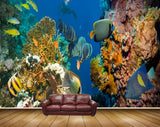 Avikalp MWZ2120 Sea Fishes Anemones Shells Underwater Ocean HD Wallpaper