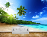 Avikalp MWZ2125 Sea Coconut Trees Beach Sun Light Island Nature HD Wallpaper