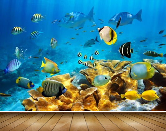 Avikalp MWZ2178 Sea Fishes Stones Underwater Water Ocean HD Wallpaper