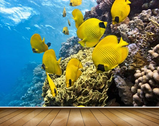 Avikalp MWZ2179 Sea Yellow Fishes Stones Underwater Water Ocean HD Wallpaper