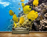 Avikalp MWZ2179 Sea Yellow Fishes Stones Underwater Water Ocean HD Wallpaper