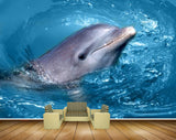 Avikalp MWZ2200 Blue Sea Dolphins Water HD Wallpaper