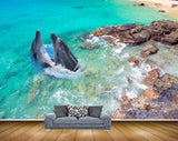 Avikalp MWZ2221 Sea Dolphins Stones Water Ocean HD Wallpaper