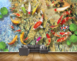 Avikalp MWZ2327 Pond Orange Red Fishes Leaves HD Wallpaper