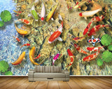 Avikalp MWZ2327 Pond Orange Red Fishes Leaves HD Wallpaper