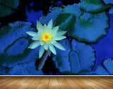 Avikalp MWZ2339 White Lotus Flowers Leaves Pond HD Wallpaper