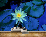 Avikalp MWZ2339 White Lotus Flowers Leaves Pond HD Wallpaper