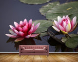 Avikalp MWZ2341 Pink Lotus Flower Leaves HD Wallpaper