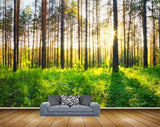 Avikalp MWZ2390 Trees Grass Sun Branches Forest Nature HD Wallpaper