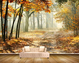 Avikalp MWZ2391 Trees Orange Leaves Branches Forest HD Wallpaper