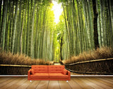 Avikalp MWZ2392 Sun Bamboo Trees Grass HD Wallpaper