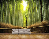 Avikalp MWZ2392 Sun Bamboo Trees Grass HD Wallpaper
