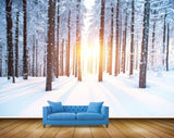 Avikalp MWZ2394 Snow Sun Trees Branches HD Wallpaper