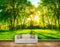 Avikalp MWZ2424 Sun Trees Grass Branches Forest HD Wallpaper