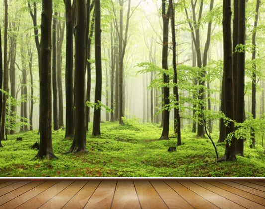 Avikalp MWZ2472 Trees Grass Branches Forest HD Wallpaper