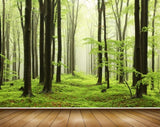 Avikalp MWZ2472 Trees Grass Branches Forest HD Wallpaper