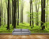 Avikalp MWZ2472 Trees Grass Branches Forest HD Wallpaper