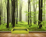 Avikalp MWZ2472 Trees Grass Branches Forest HD Wallpaper