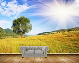 Avikalp MWZ2485 Sun Trees Clouds Grass HD Wallpaper