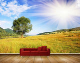 Avikalp MWZ2485 Sun Trees Clouds Grass HD Wallpaper