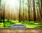 Avikalp MWZ2495 Trees Grass Stems Sun HD Wallpaper