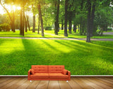 Avikalp MWZ2496 Trees Grass Road HD Wallpaper
