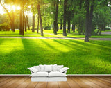 Avikalp MWZ2496 Trees Grass Road HD Wallpaper