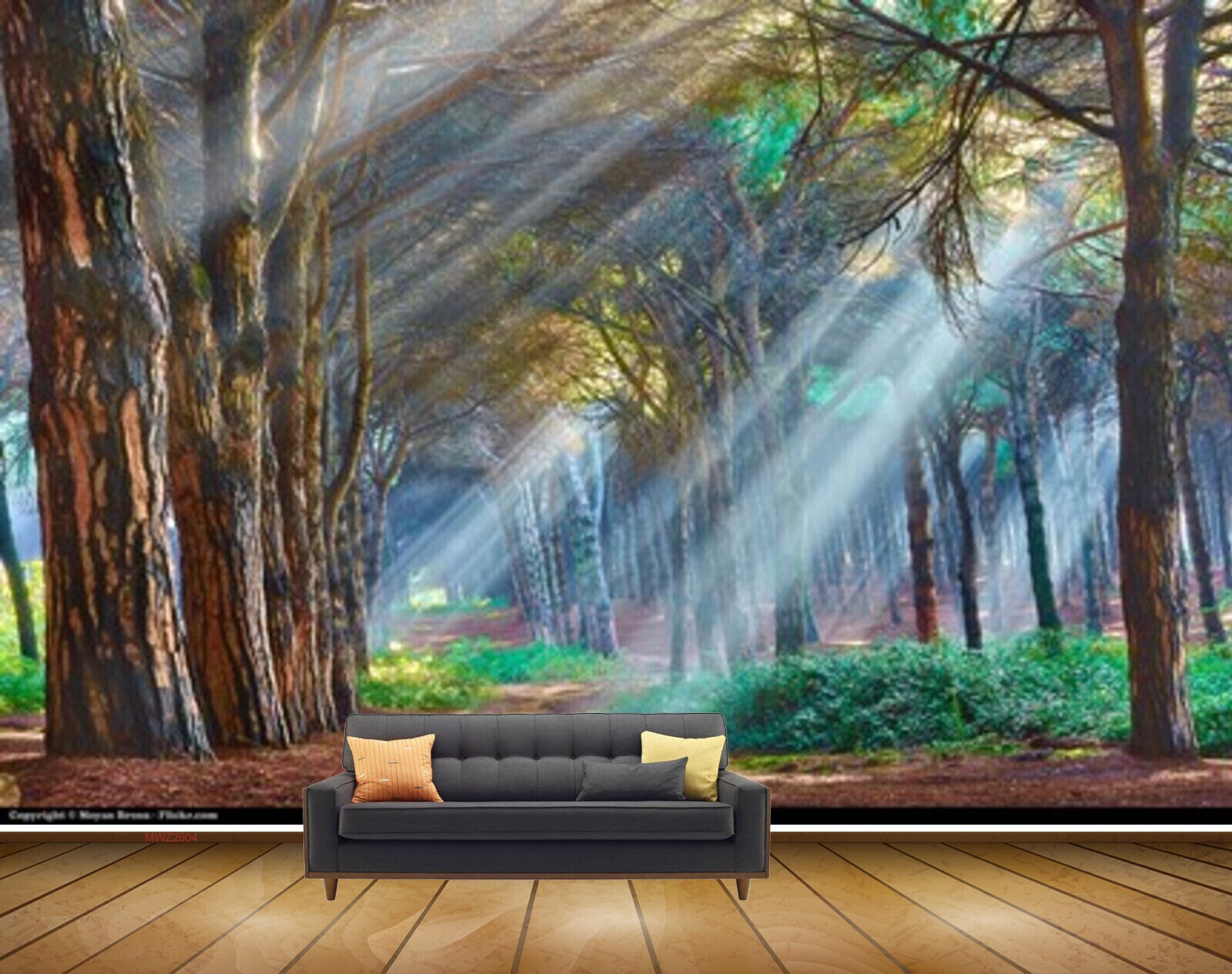 Avikalp MWZ2504 Sunlight Trees Grass Sand HD Wallpaper