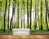 Avikalp MWZ2506 Trees Stems Leaves Forest HD Wallpaper