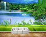 Avikalp MWZ2513 Pond River Lake Water Swans Trees Waterfalls Mountains Grass HD Wallpaper