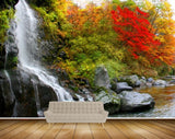 Avikalp MWZ2514 Waterfalls Trees Orange Red Green Leaves Stones Pond River Lake Water HD Wallpaper
