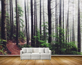Avikalp MWZ2536 Trees Stems Leaves Forest Road HD Wallpaper