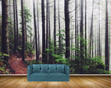 Avikalp MWZ2536 Trees Stems Leaves Forest Road HD Wallpaper