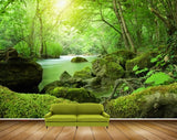 Avikalp MWZ2544 Trees Sun Stones Leaves Grass Algea Water HD Wallpaper