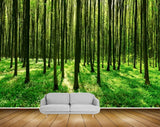 Avikalp MWZ2547 Trees Stems Grass Branches Forest HD Wallpaper