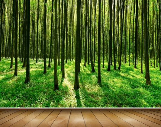 Avikalp MWZ2547 Trees Stems Grass Branches Forest HD Wallpaper