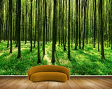 Avikalp MWZ2547 Trees Stems Grass Branches Forest HD Wallpaper