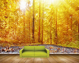 Avikalp MWZ2548 Sun Trees Yellow Leaves Road HD Wallpaper