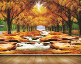 Avikalp MWZ2550 Trees Orange Leaves Orange Stones Waterfalls HD Wallpaper