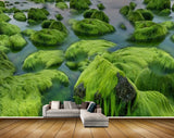Avikalp MWZ2551 Green Stones Trees Pond River Lake Water HD Wallpaper